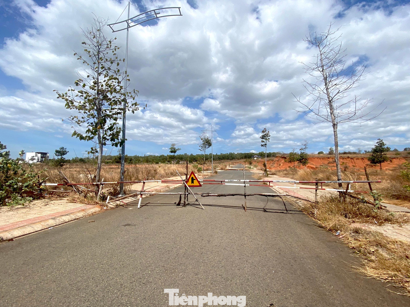 Trong công văn 571, UBND tỉnh Bình Thuận lý giải việc giao đất không qua đấu giá cho Công ty CP Tân Việt Phát là do Công ty Tân Việt Phát là nhà đầu tư duy nhất đăng ký đấu giá 3 lô đất nêu trên. Giá đất thực hiện giao 3 lô đất này theo quyết định số 2423 ngày 4/10/2013 của UBND tỉnh là 1,2 triệu đồng/m2.