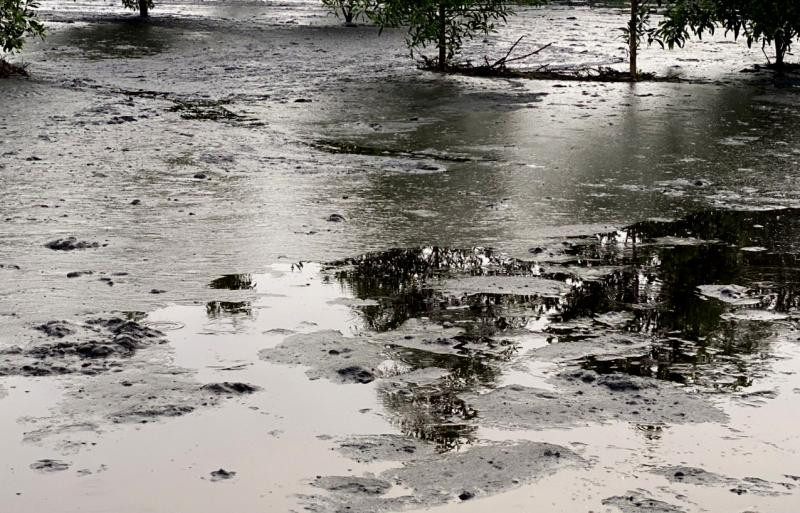 Nước đen ngòm, bốc mùi hôi thối ở gần Khu xử lý chất thải tập trung Tóc Tiên của Công ty TNHH Sản xuất Thương mại Đại Nam.