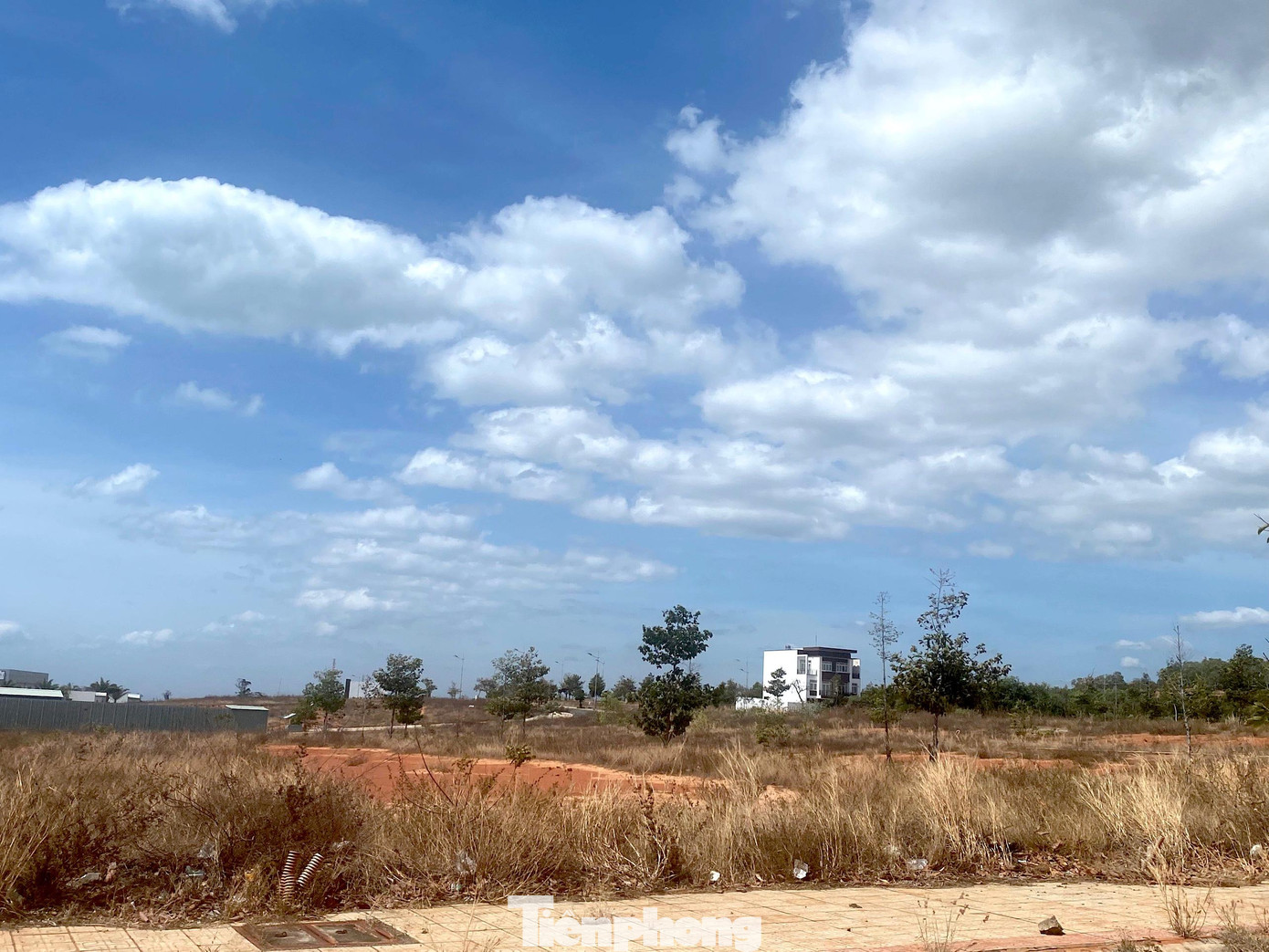 Ngay ngày hôm sau, tức 23/2/2017, UBND tỉnh Bình Thuận có công văn 571 gửi Sở TN-MT, Trung tâm phát triển quỹ đất đồng ý chủ trương giao 3 lô đất trên cho Công ty CP Tân Việt Phát với giá khởi điểm của 5 năm trước (năm 2013), tức 1,2 triệu đồng/m2, tổng số tiền của cả 3 lô đất này khoảng 111 tỷ đồng.