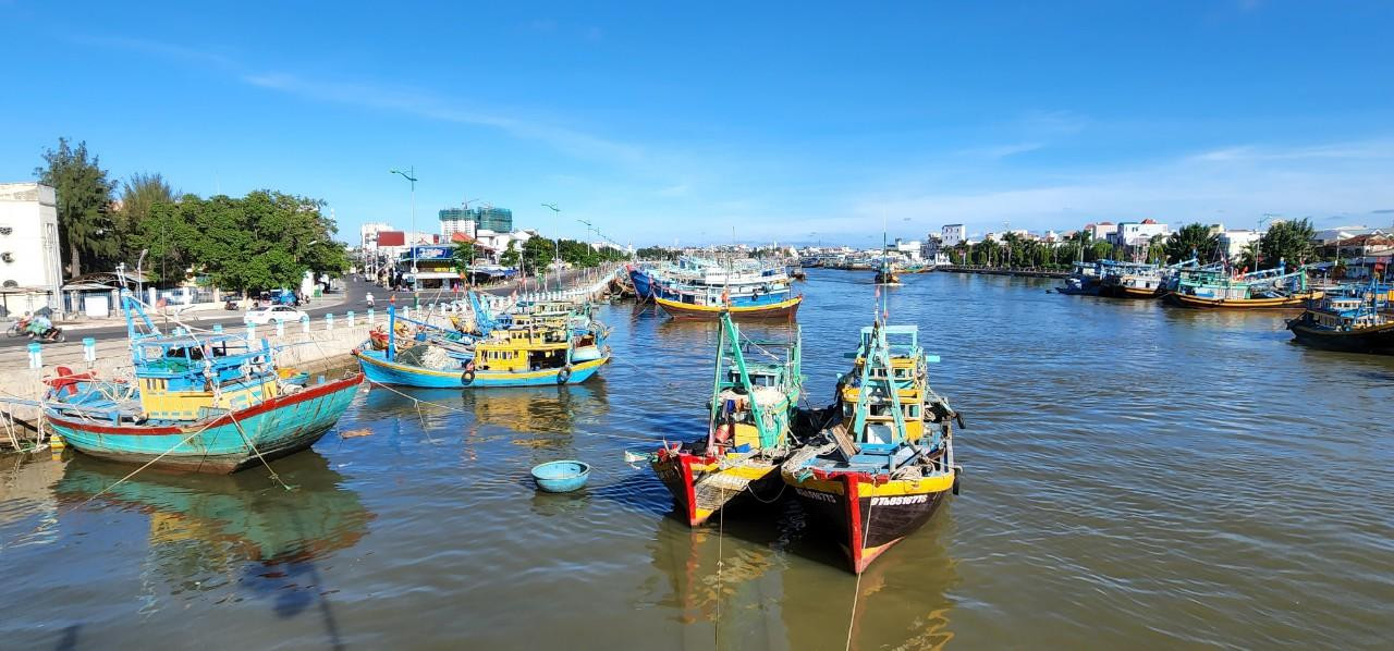 Nhiều tàu thuyền ở Bình Thuận đã được neo đậu an toàn.