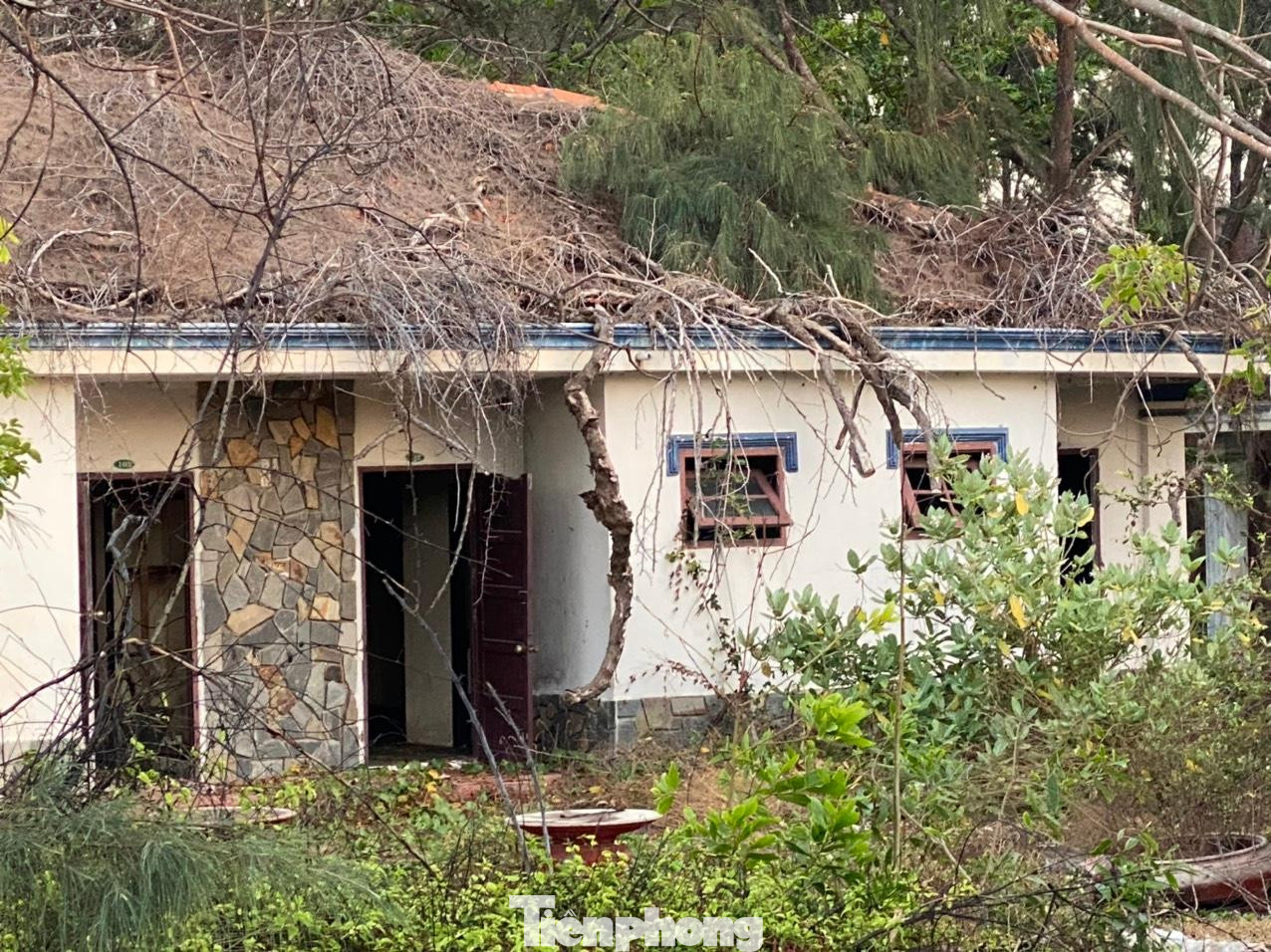 Thế nhưng, ám ảnh của khách du lịch khi đến đây là hàng loạt biệt thự, resort, khu nghỉ dưỡng cao cấp... nằm ven biển bị bỏ hoang phế chục năm, cỏ mọc um tùm, không người trông coi. Thế nhưng, ám ảnh của khách du lịch khi đến đây là hàng loạt biệt thự, resort, khu nghỉ dưỡng cao cấp... nằm ven biển bị bỏ hoang phế chục năm, cỏ mọc um tùm, không người trông coi.