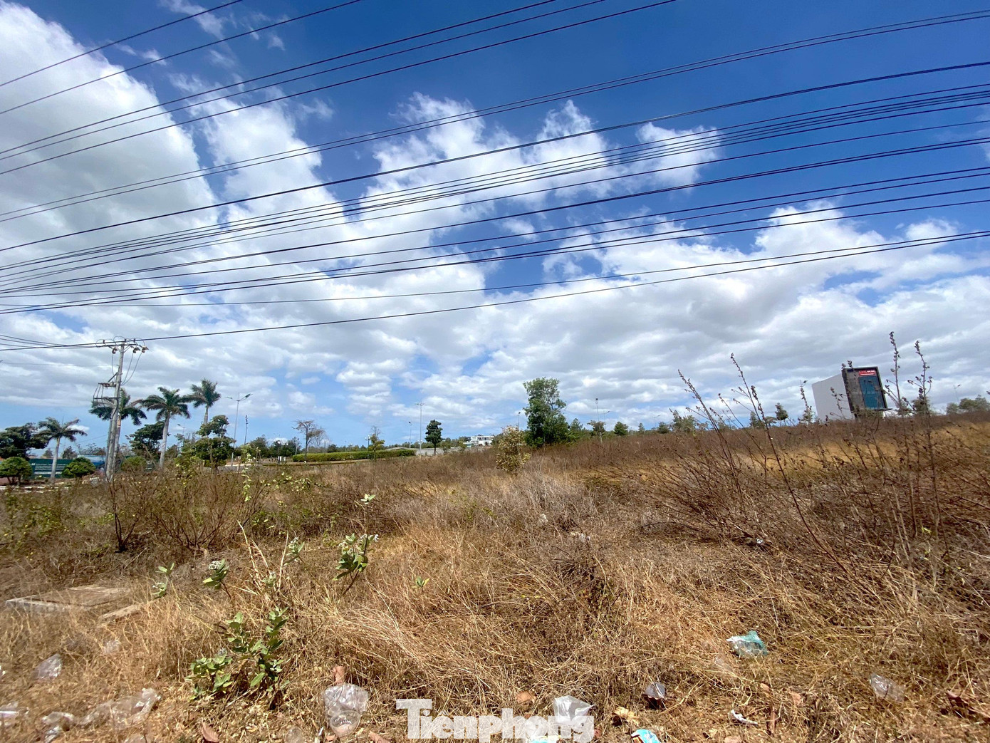 Đến ngày 16/5/2017, Công ty CP Tân Việt Phát nộp số tiền trên vào Kho bạc Nhà nước tỉnh Bình Thuận, thì ngày 13/6/2017 Sở TN-MT Bình Thuận cấp 3 giấy chứng nhận quyền sử dụng đất cho công ty.