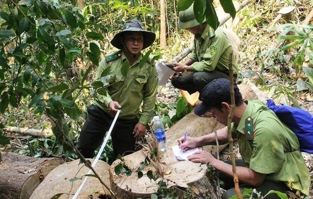Nguyên nhân khiến kiểm lâm, lực lượng chuyên trách bảo vệ rừng nghỉ việc do điều kiện làm việc thường xuyên vất vả, khó khăn về nhiều mặt.