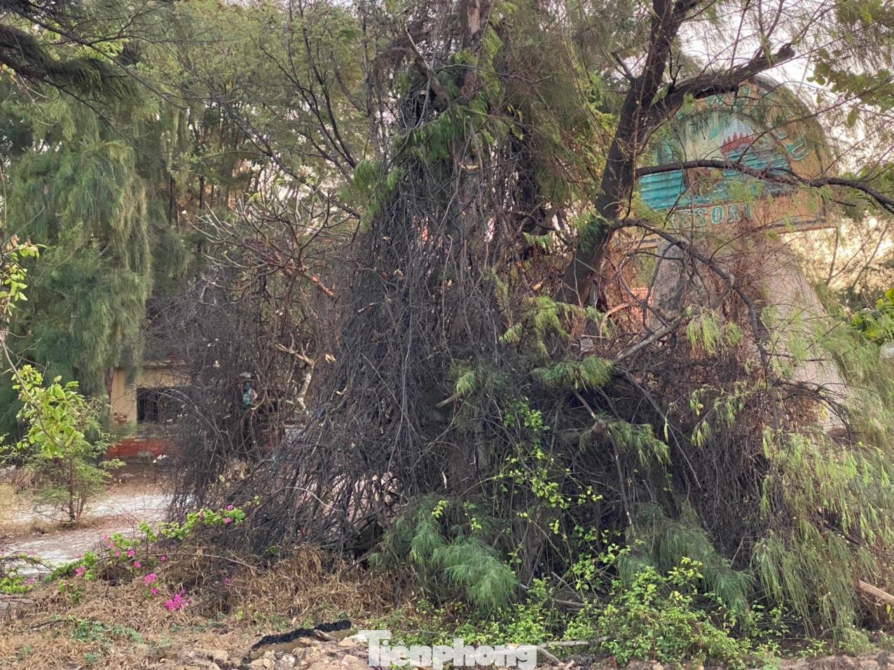 Con đường ven biển nối TP. Phan Thiết xuống xã Tân Thành, huyện Hàm Thuận Nam, tỉnh Bình Thuận dài 25 km bên phải là núi, bên trái là biển lâu nay được xem như cung đường phượt lý tưởng của khách du lịch. Con đường ven biển nối TP. Phan Thiết xuống xã Tân Thành, huyện Hàm Thuận Nam, tỉnh Bình Thuận dài 25 km bên phải là núi, bên trái là biển lâu nay được xem như cung đường phượt lý tưởng của khách du lịch.