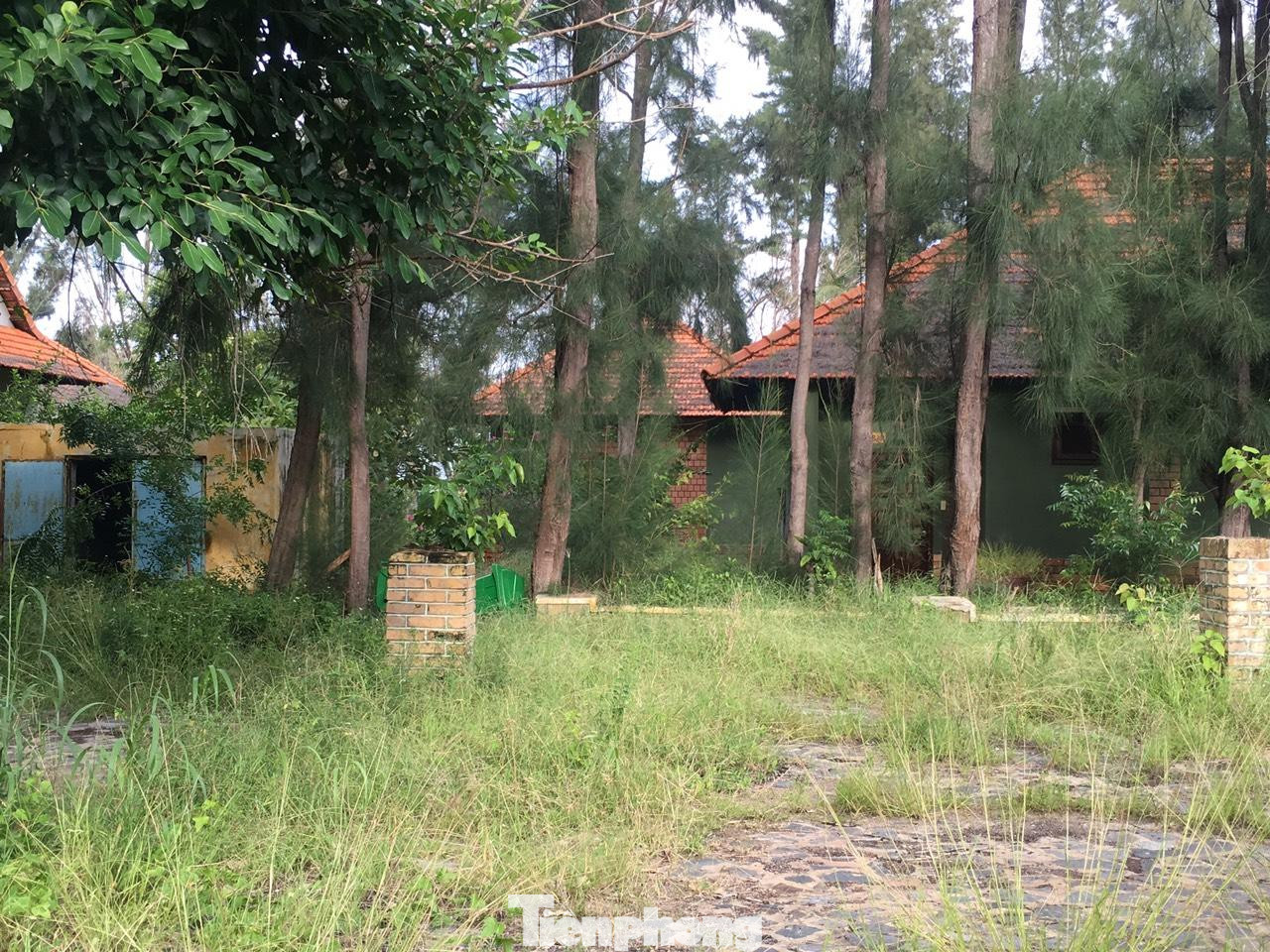 Thế nhưng, tất cả chỉ là kỳ vọng vào tương lai xa. Thế nhưng, tất cả chỉ là kỳ vọng vào tương lai xa.