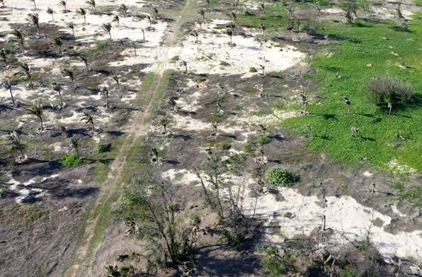 Được chấp thuận chủ trương đầu tư từ năm 2001 nhưng đến nay dự án Khu du lịch Xuân Quỳnh vẫn là bãi đất trống. Được chấp thuận chủ trương đầu tư từ năm 2001 nhưng đến nay dự án Khu du lịch Xuân Quỳnh vẫn là bãi đất trống.