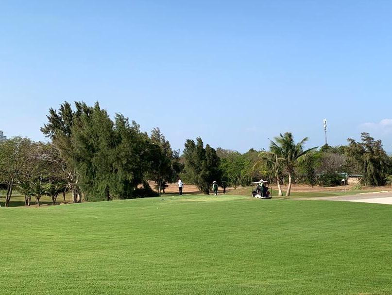 Việc xử lý tài sản gắn với đất của Công ty Liên doanh Vũng Tàu Paradise gặp khó khăn do tài sản có hạng mục sân golf 27 lỗ cần duy trì thường xuyên để chăm sóc thảm cỏ. Việc xử lý tài sản gắn với đất của Công ty Liên doanh Vũng Tàu Paradise gặp khó khăn do tài sản có hạng mục sân golf 27 lỗ cần duy trì thường xuyên để chăm sóc thảm cỏ.