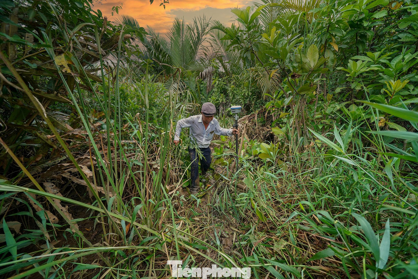 Ông Trần Huy Chiến (57 tuổi), công nhân của Tổng công ty Tư vấn thiết kế giao thông vận tải (TEDI) len lỏi giữa rừng cây um tùm để tìm vị trí cắm cọc.