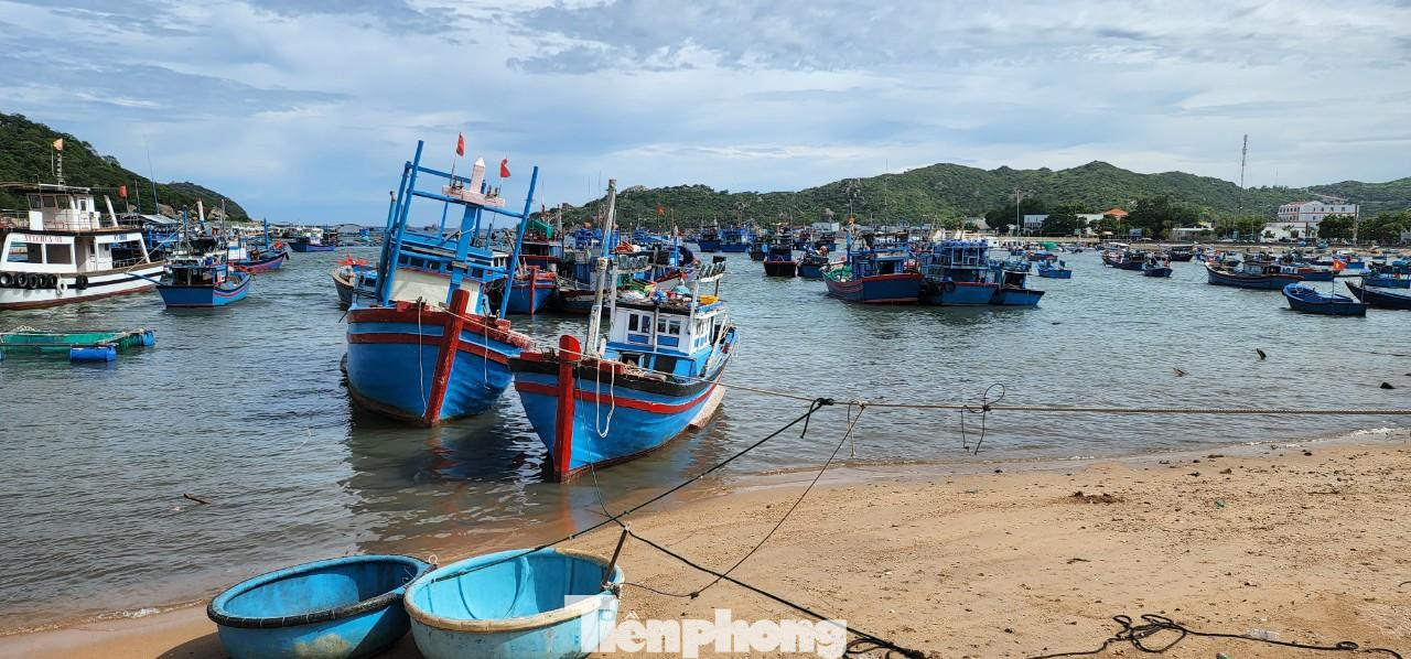 Bình Thuận triển khai các biện pháp đảm bảo an toàn cho tàu thuyền, kêu gọi, thông báo, hướng dẫn tàu thuyền di chuyển vào bờ và tổ chức sắp xếp, neo đậu chắc chắn; kéo tàu nhỏ lên bờ. Bình Thuận triển khai các biện pháp đảm bảo an toàn cho tàu thuyền, kêu gọi, thông báo, hướng dẫn tàu thuyền di chuyển vào bờ và tổ chức sắp xếp, neo đậu chắc chắn; kéo tàu nhỏ lên bờ.
