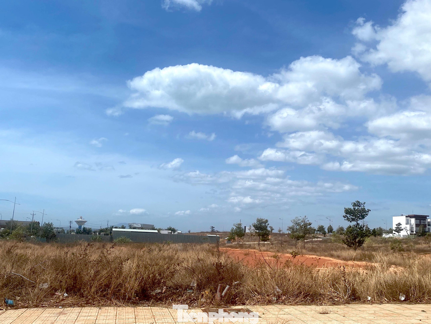 Từ ngày 25/10/2013 đến 26/11/2015, Trung tâm Phát triển quỹ đất tỉnh Bình Thuận phối hợp Trung tâm dịch vụ bán đấu giá tài sản, thuộc Sở Tư pháp Bình Thuận tổ chức 6 lần đấu giá 3 lô đất này nhưng không có tổ chức hay cá nhân nào tham gia đấu giá.