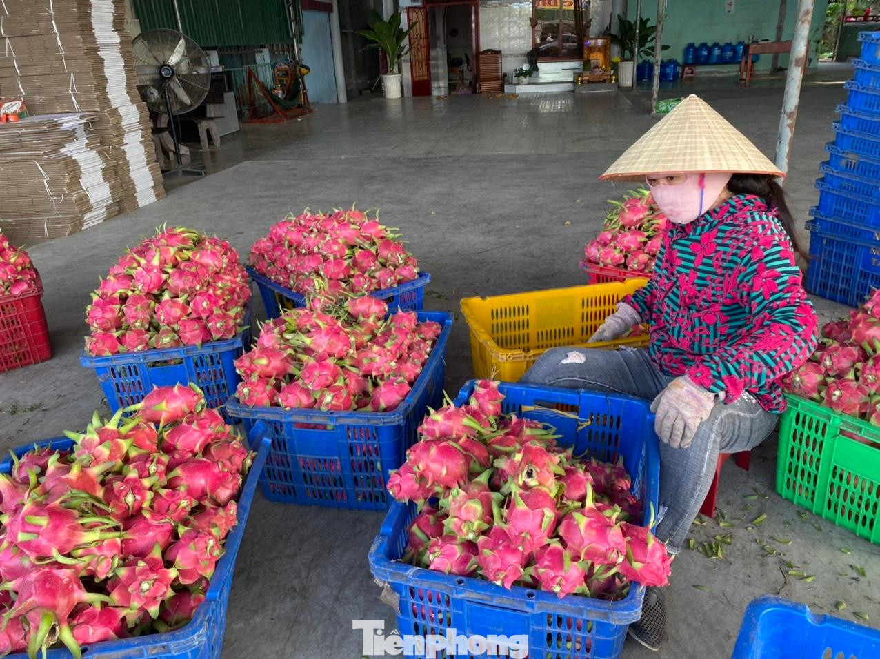 Bình Thuận khuyến cáo tạm dừng đưa hàng hóa xuất khẩu lên cửa khẩu biên giới tỉnh Quảng Ninh và Lạng Sơn.