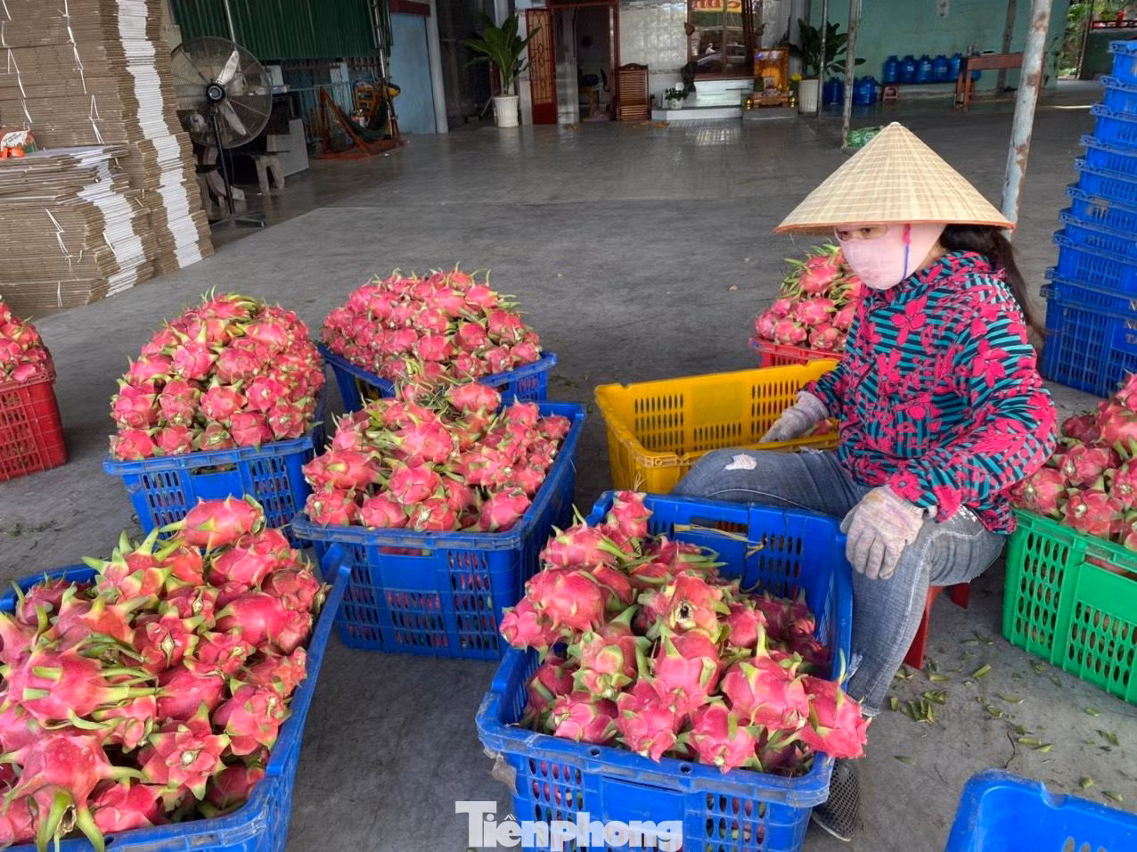 Bình Thuận khuyến cáo tạm dừng đưa hàng hóa xuất khẩu lên cửa khẩu biên giới tỉnh Quảng Ninh và Lạng Sơn. Bình Thuận khuyến cáo tạm dừng đưa hàng hóa xuất khẩu lên cửa khẩu biên giới tỉnh Quảng Ninh và Lạng Sơn.