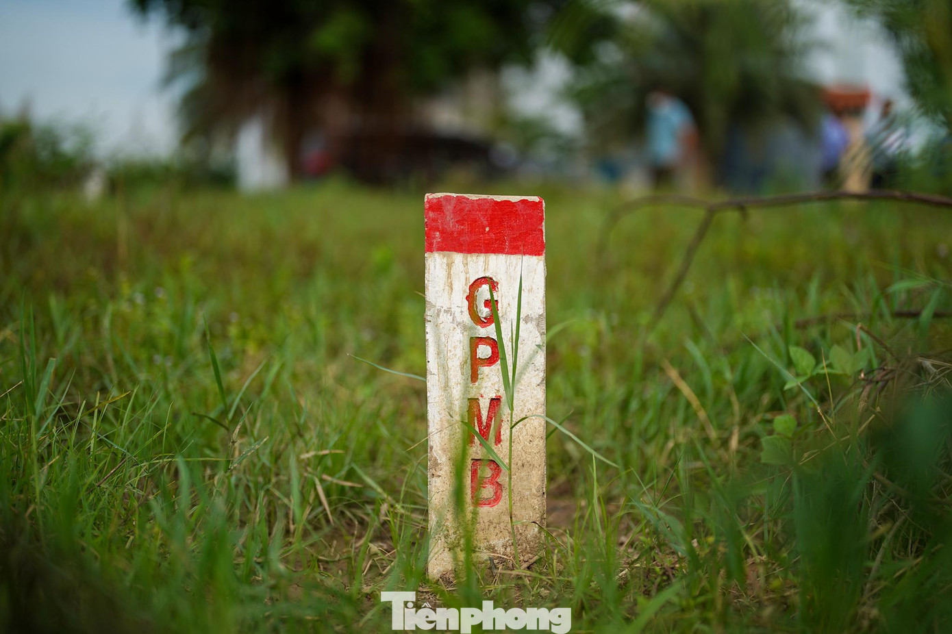 Một cọc ranh giải phóng mặt bằng đã cắm xong ở thành phố Thủ Đức.