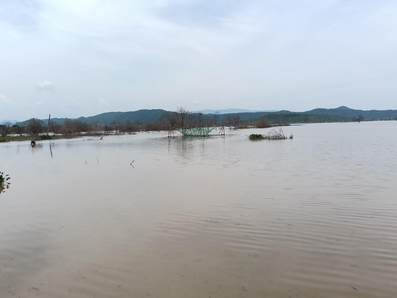 Hồ thủy lợi Sông Lũy, nơi hai anh em trú ở xã Phan Sơn bị chết đuối.