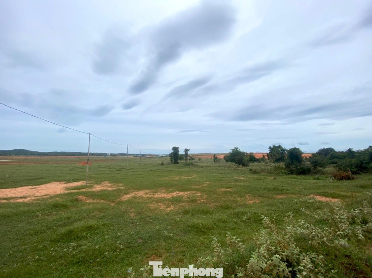 Sở Tài nguyên Môi trường đề xuất UBND TPHCM xem xét, trình HĐND TPHCM thông qua danh mục 45 dự án có chuyển mục đích sử dụng đất trồng lúa với tổng diện tích hơn 357 ha.