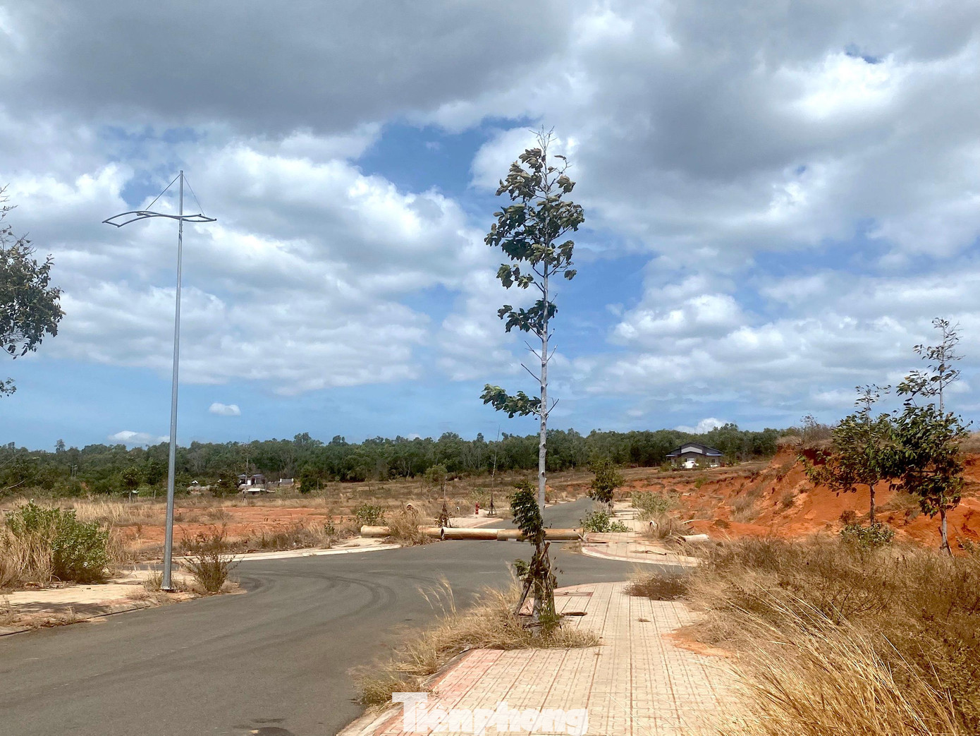 Hai ngày sau, tức ngày 22/2/2017, Sở TN-MT có công văn tiếp tục đề nghị giao 3 lô đất trên cho Công ty CP Tân Việt Phát với giá khởi điểm như trên (1,2 triệu đồng/m2).