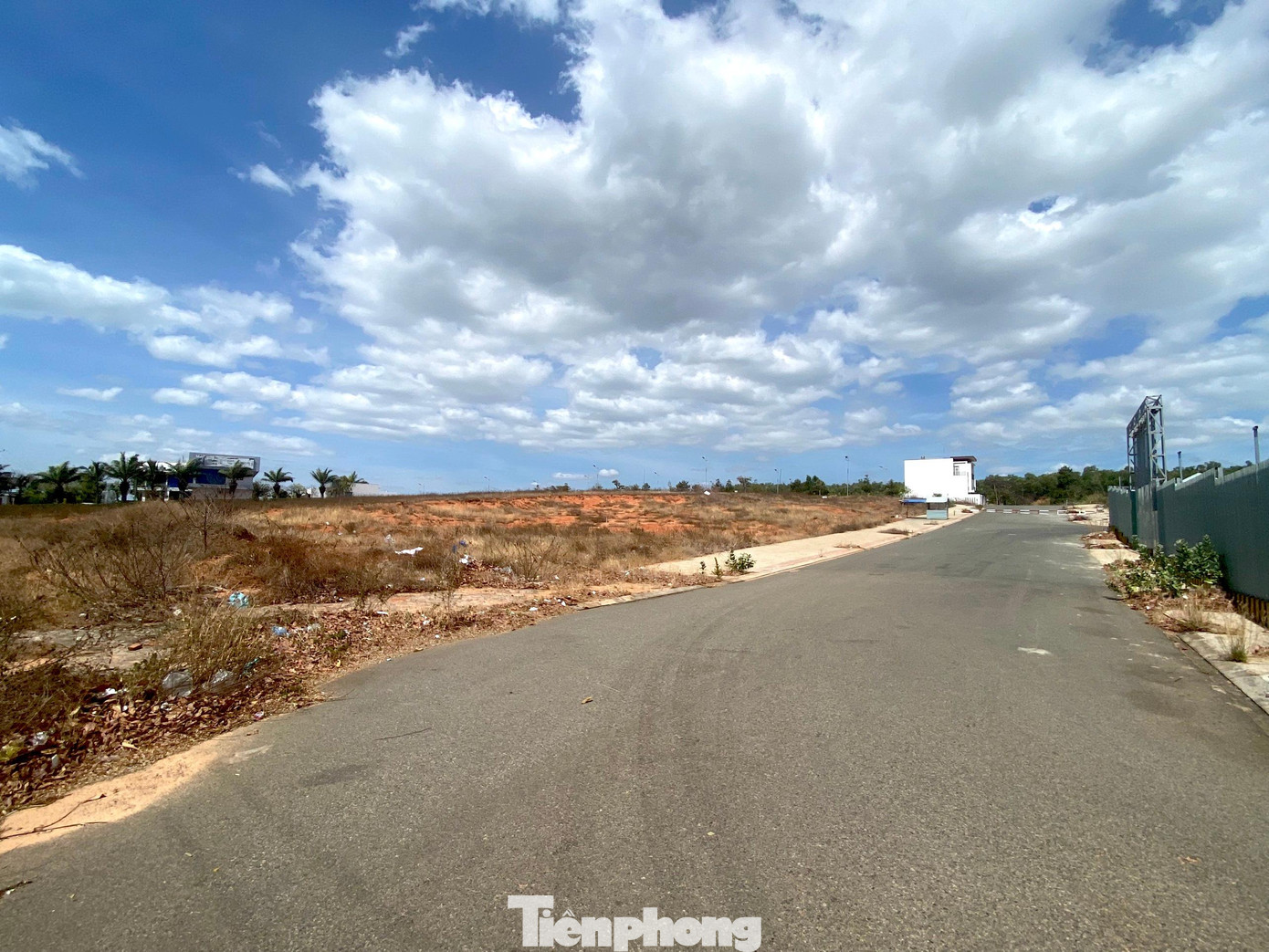 Nhận được đề nghị của Sở TN-MT, Văn phòng UBND tỉnh Bình Thuận có công văn đề nghị Sở TN-MT phải “lấy ý kiến Sở Tài chính”. Sau khi nhận được yêu cầu, ngày 20/2/2017, Sở Tài chính Bình Thuận có văn bản trả lời Sở TN-MT thống nhất giao 3 lô đất trên cho Công ty CP Tân Việt Phát không cần đấu giá và với giá khởi điểm là 1,2 triệu đồng/m2.