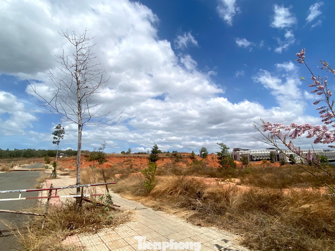 Ngày 7/1/2008, UBND tỉnh Bình Thuận có công văn cho chủ trương đấu giá 3 lô đất số 18, 19 và 20. Ngày 4/7/2013, UBND tỉnh Bình Thuận ban hành quyết định điều chỉnh, bổ sung quỹ đất đấu giá với 3 lô đất này. Trong đó, lô số 18 diện tích khoảng 23.298 m2 đất kinh doanh dịch vụ, thời hạn 50 năm; lô số 19 diện tích khoảng 33.609 m2 và lô số 20 diện tích 35.693m2 đều là đất ở đô thị lâu dài.