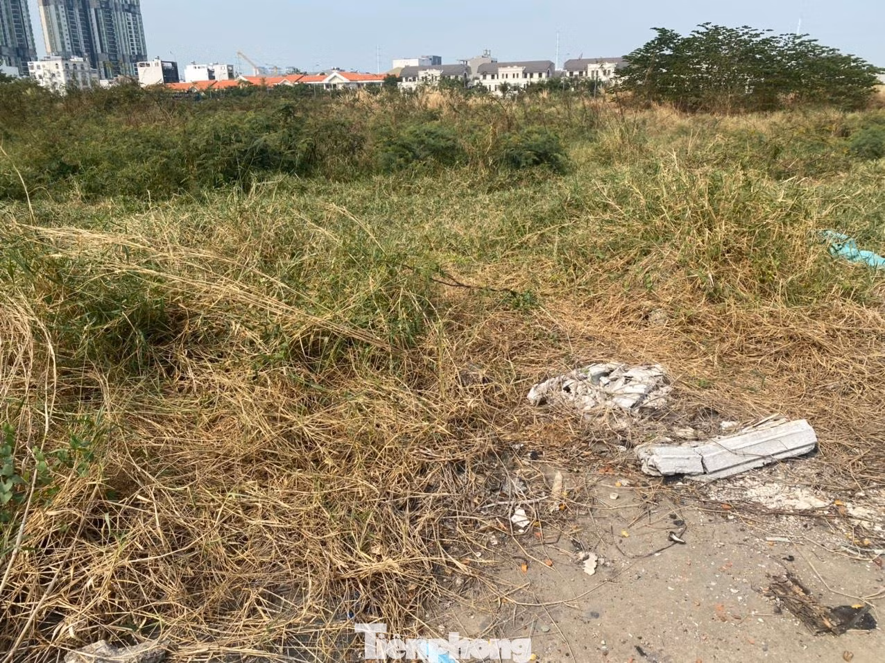 Do đó Thường trực thành ủy, UBND TPHCM chỉ đạo thu hồi giấy phép đầu tư, thu hồi dự án, thu hồi 2,9 ha đất công đã cấp cho Công ty Đặng Trần để Nhà nước quản lý, giao đơn vị có năng lực đầu tư. Do đó Thường trực thành ủy, UBND TPHCM chỉ đạo thu hồi giấy phép đầu tư, thu hồi dự án, thu hồi 2,9 ha đất công đã cấp cho Công ty Đặng Trần để Nhà nước quản lý, giao đơn vị có năng lực đầu tư.