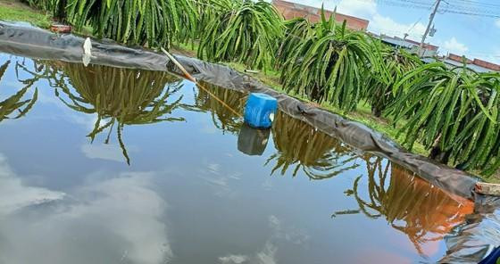 Ao chứa nước ở Bình Thuận, nơi xảy ra sự việc đau lòng.