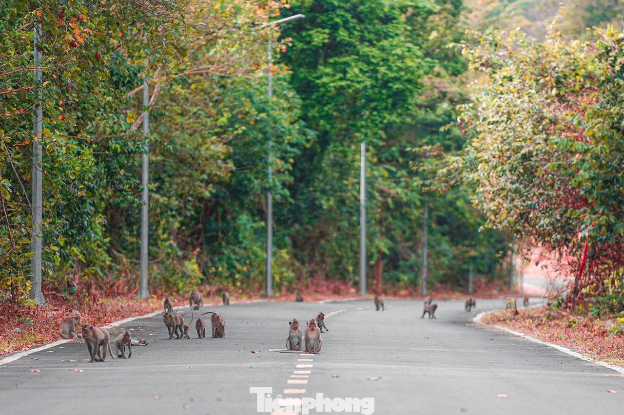 Côn Đảo còn lưu giữ được nhiều cảnh đẹp hoang sơ.