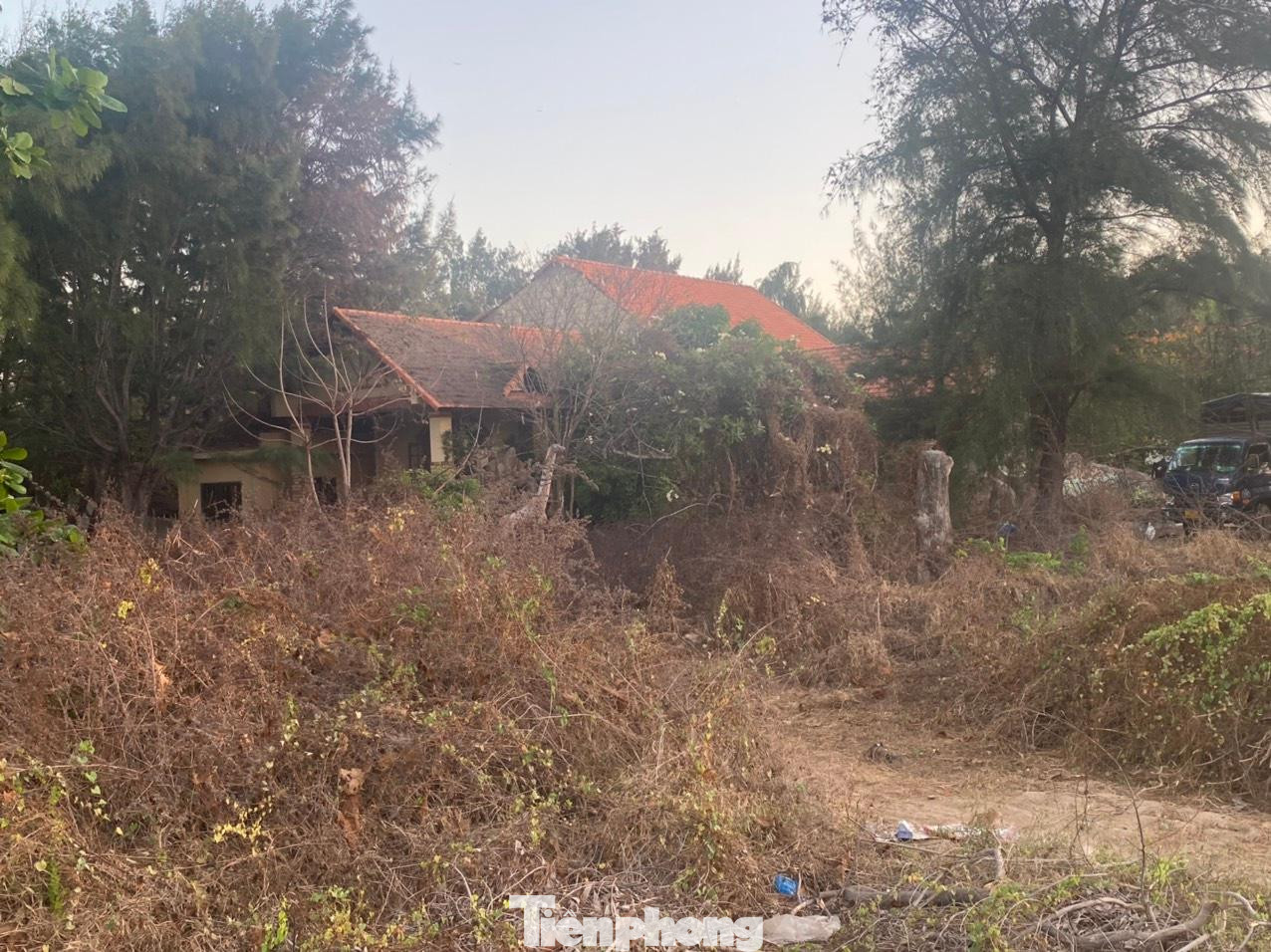 Cỏ cây mọc hoang, phủ cả những resort đang xây dang dở. Cỏ cây mọc hoang, phủ cả những resort đang xây dang dở.