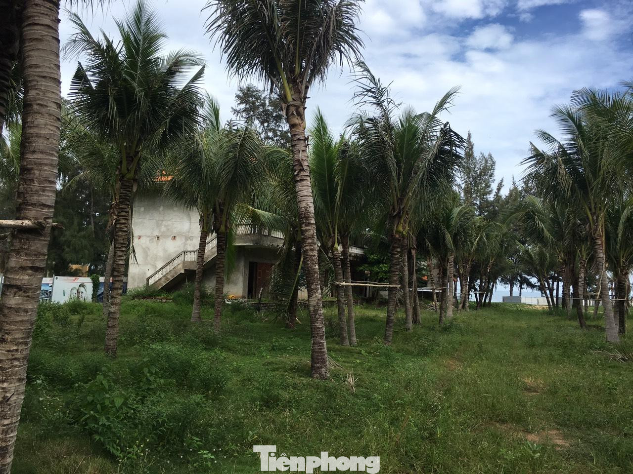 Thực tế, thời gian qua, Kê Gà đã chứng kiến sự đổ bộ của hàng loạt đại dự án đến từ các ông lớn địa ốc. Tính đến nay, toàn huyện Hàm Thuận Nam có 78 dự án, đặc biệt những dự án quy mô lớn tập trung chủ yếu tại mũi Kê Gà. Thực tế, thời gian qua, Kê Gà đã chứng kiến sự đổ bộ của hàng loạt đại dự án đến từ các ông lớn địa ốc. Tính đến nay, toàn huyện Hàm Thuận Nam có 78 dự án, đặc biệt những dự án quy mô lớn tập trung chủ yếu tại mũi Kê Gà.