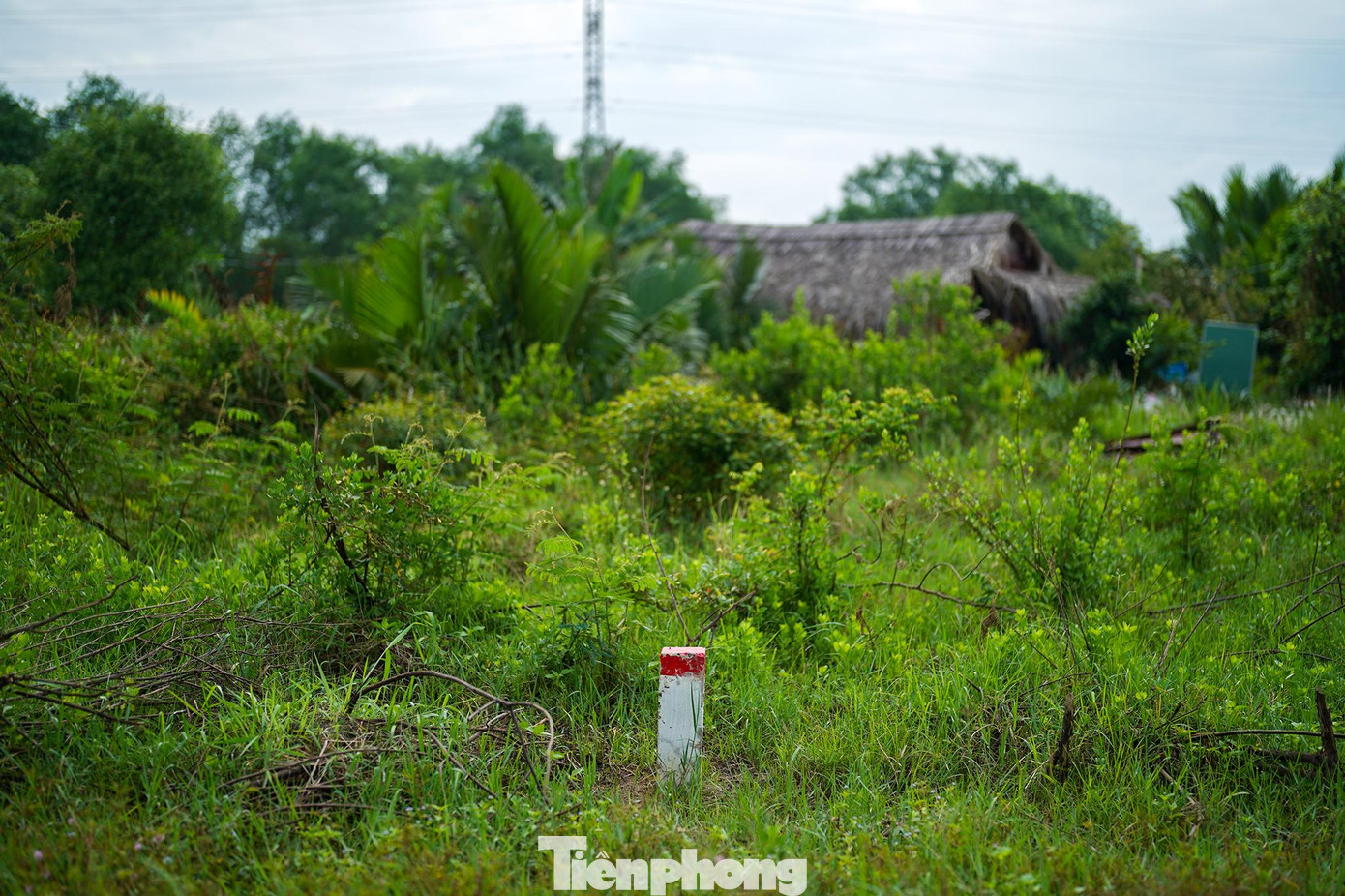 Chủ tịch UBND TPHCM vừa ký quyết định phê duyệt hồ sơ thiết kế cắm cọc (thiết kế ranh) giải phóng mặt bằng dự án thành phần 1 - đoạn qua TPHCM (bao gồm cầu kênh Thầy Thuốc) thuộc dự án đầu tư xây dựng đường Vành đai 3 TPHCM .