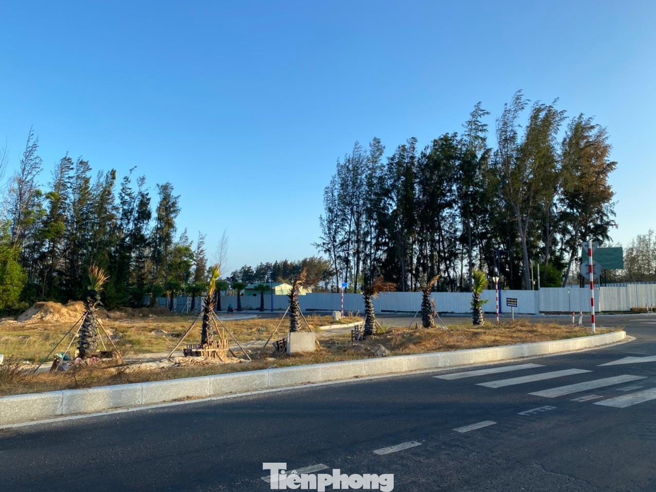 Trong diện tích 104.811,3m2 (10,48ha) tại xã Thuận Quý, huyện Hàm Thuận Nam giao cho dự án Khu dịch vụ du lịch cộng đồng Biển quê hương có 7,17ha rừng phi lao phòng hộ ven biển được trồng từ nguồn vốn ngân sách nhà nước cách đây 30-40 năm để chắn sóng, chắn gió, chống cát bay, chống sự xâm nhập của nước mặn... để bảo vệ đất sản xuất của dân, bảo vệ khu dân cư ven biển. Trong diện tích 104.811,3m2 (10,48ha) tại xã Thuận Quý, huyện Hàm Thuận Nam giao cho dự án Khu dịch vụ du lịch cộng đồng Biển quê hương có 7,17ha rừng phi lao phòng hộ ven biển được trồng từ nguồn vốn ngân sách nhà nước cách đây 30-40 năm để chắn sóng, chắn gió, chống cát bay, chống sự xâm nhập của nước mặn... để bảo vệ đất sản xuất của dân, bảo vệ khu dân cư ven biển.