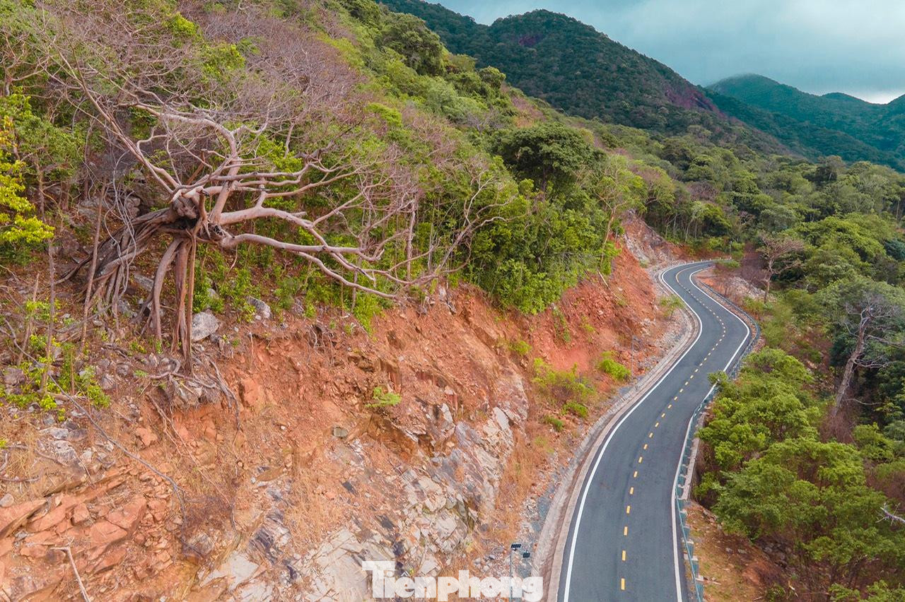 Cung đường chạy của Tiền Phong Marathon đẹp nên thơ.