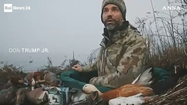 Cạnh ông Trump Jr là một con vịt màu vàng nâu. (Ảnh: Daily Mail)