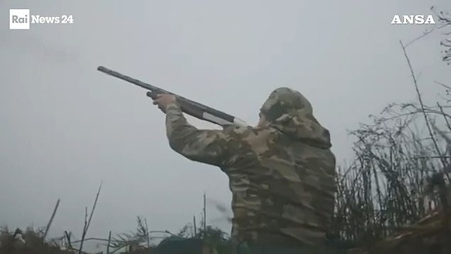 Hình ảnh ông Trump Jr trong chuyến đi săn. (Ảnh: Daily Mail)