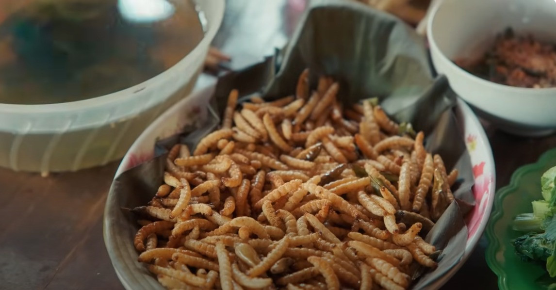 Sâu tre khá giống sâu chít. Nhưng sâu chít thường để ngâm rượu còn sâu tre là nguyên liệu chế biến món ăn (Ảnh chụp màn hình)