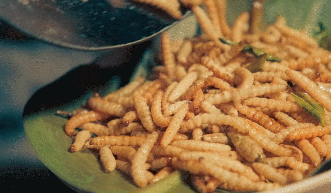 Món sâu tre rang lá chanh có màu sắc hấp dẫn, hương vị lạ miệng (Ảnh cắt từ clip)