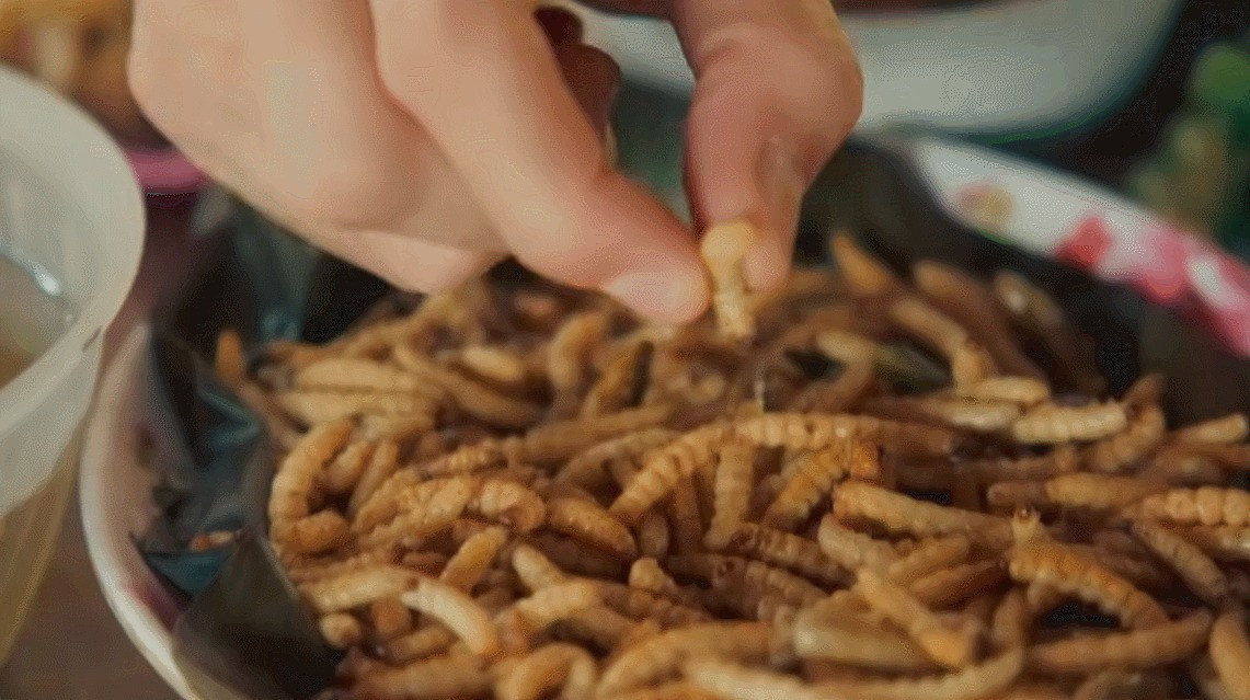 Du khách người Úc nếm thử món sâu tre và liên tục khen ngon dù trước đó anh thừa nhận có chút dè chừng, hoang mang khi nhìn thấy sinh vật này trong thân cây tre (Ảnh cắt từ clip)