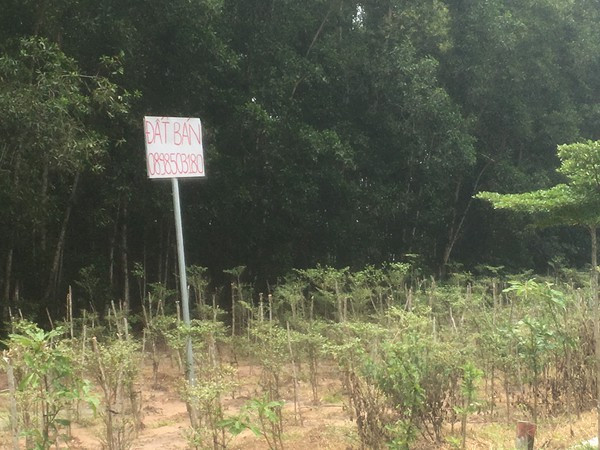 Sau 3 ngày, gần 1.000 khách hàng tới công an tố cáo công ty Alibaba lừa đảo ảnh 3