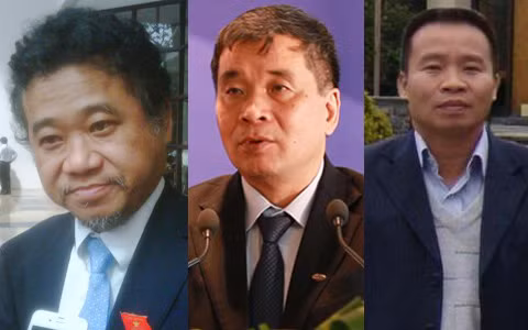 Ông Đặng Thành Tâm, Nguyễn Thành Phương, Đoàn Đức Vịnh đều thừa nhận thất bại 