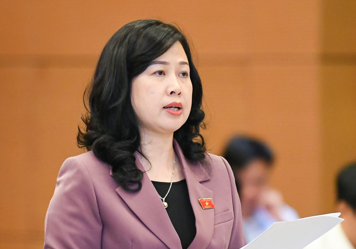 Quyền Bộ trưởng Bộ Y tế Đào Hồng Lan