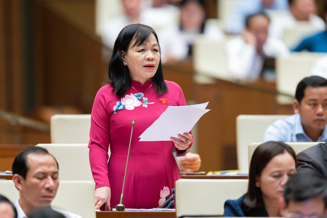 ĐBQH Nguyễn Thị Mai Hoa (Đồng Tháp) ĐBQH Nguyễn Thị Mai Hoa (Đồng Tháp)