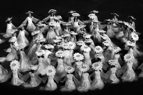 Duyên hoa (Thể loại Tự do) – tác giả Nguyễn Phúc Lộc (Việt Nam) - Huy chương Đồng VAPA Tự do - HCĐ VAPA - Duyên hoa – tác giả Nguyễn Phúc Lộc (Việt Nam)