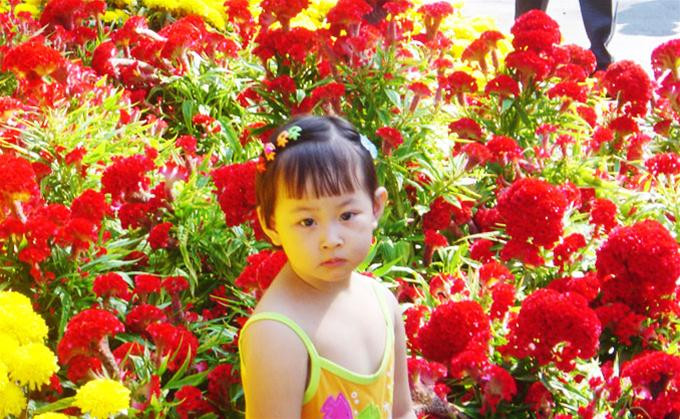 Hình tượng gà được kết thành từ các đóa hoa đủ màu sắc Rực rỡ sắc mai vàng mùa xuân Đài phun nước trang trí hình hoa sen Lựa chọn mua câu đối về treo ngày xuân Hồn nhiên tuổi thơ đón Tết Rộn ràng điệu nhảy sạp ngày xuân Trò chơi cà kheo đầy thử thách và thú vị Các em nhỏ hồn nhiên bên xích đu tiên Cuộc thi gói bánh chưng và bánh tét thu hút rất đông người xem Anh bộ đội khéo tay đang chăm chút cho chiếc bánh của mình Một thành viên xinh đẹp của nhóm Lọ Lem cũng đang nhiệt tình tham gia Đông đảo người dân thành phố tham quan Hội Hoa