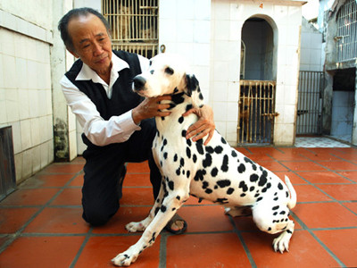 Chó cưng cũng phải đi ở đợ