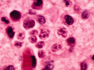 Ảnh: minh họa - Internet