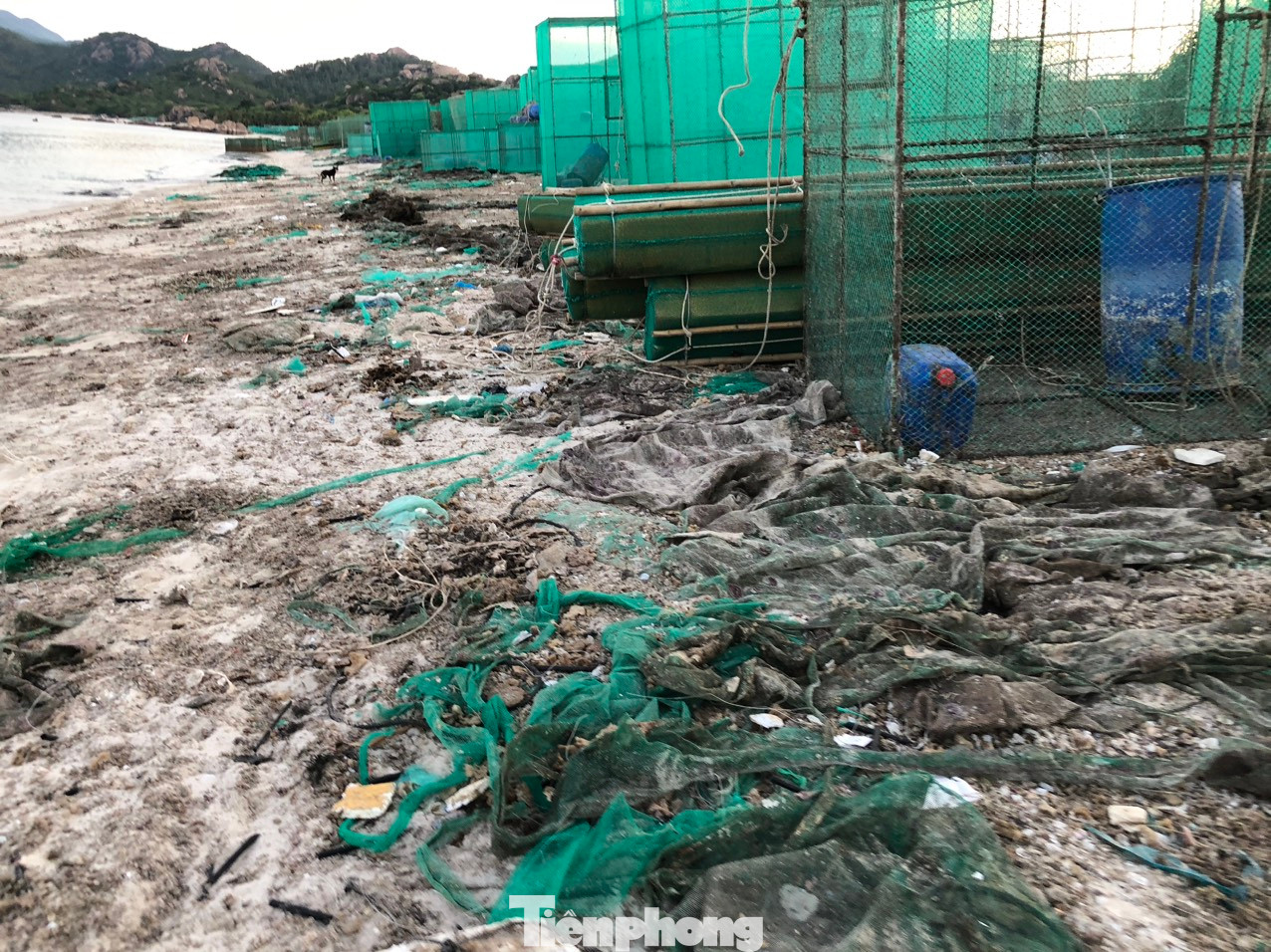 Đủ các loại rác thải bốc mùi hôi thối cho bờ biển tươi đẹp của thôn Bình Lập.