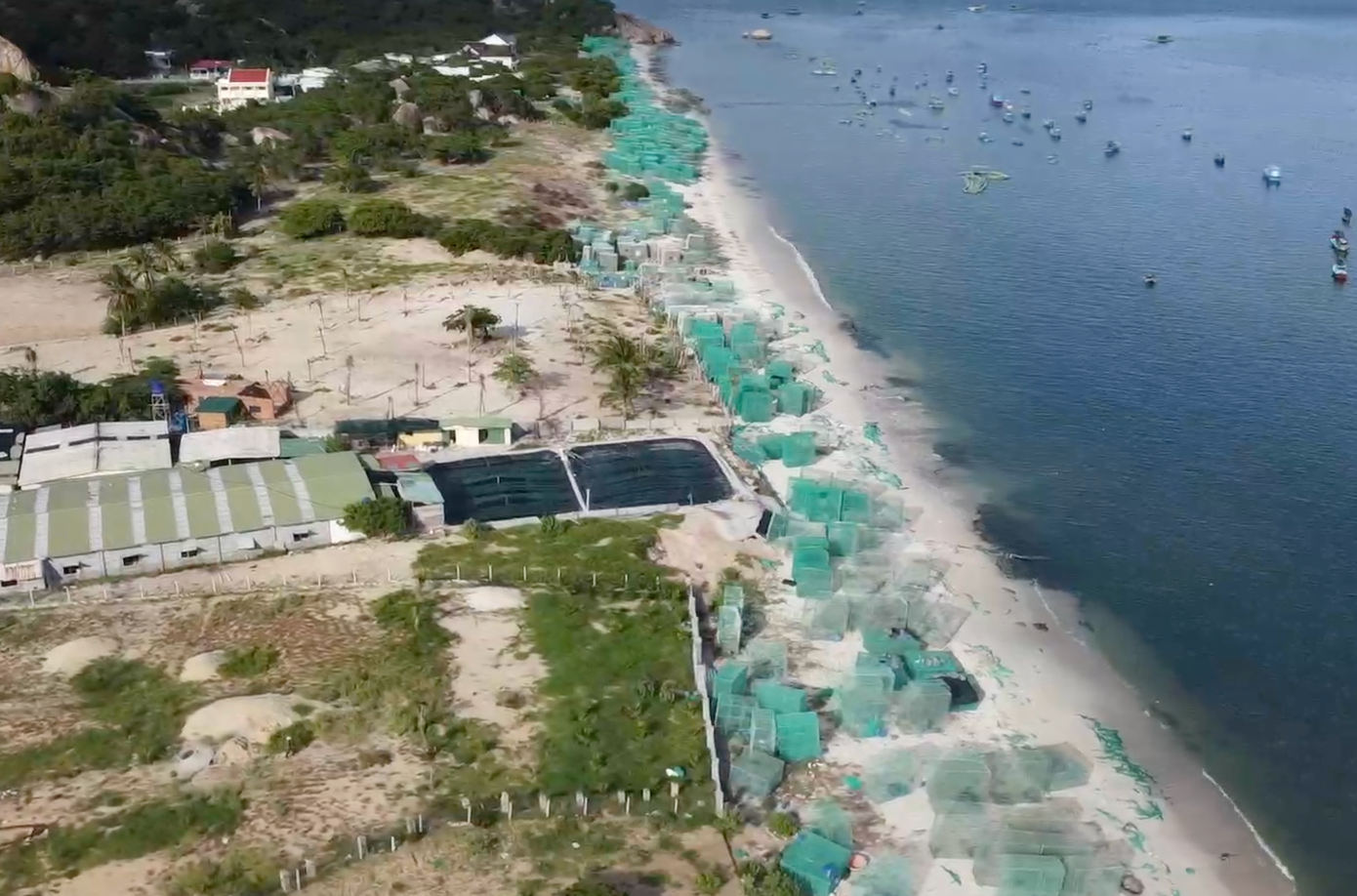 Bãi biển ven vịnh Cam Ranh ở thôn Bình Lập tràn ngập rác thải từ nuôi tôm hùm. Ảnh: C.H.