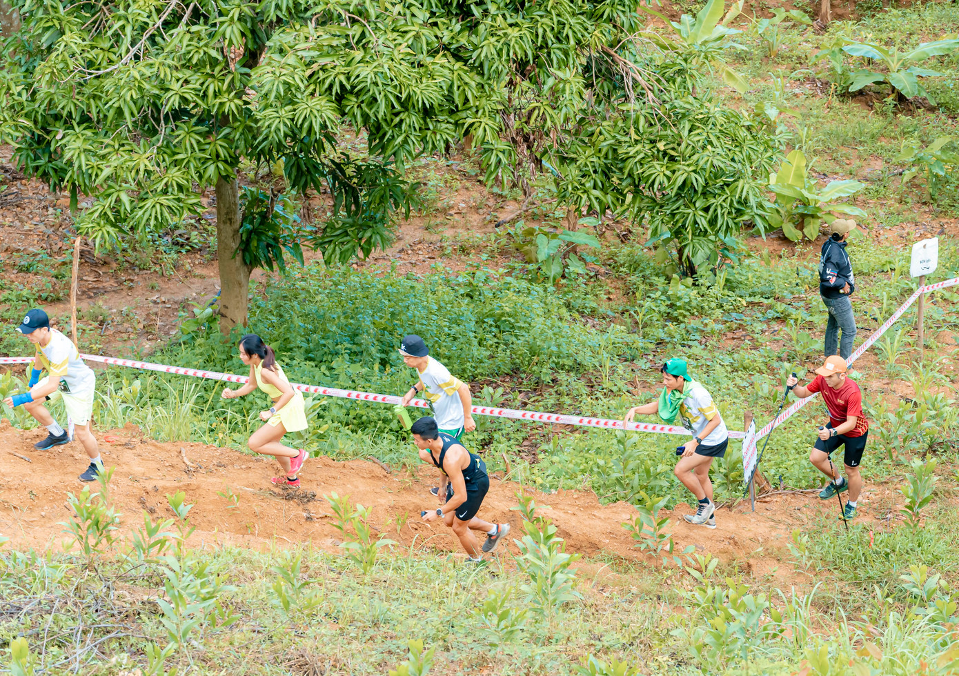 Cung đường chạy của giải đi qua nhiều đồi núi quanh co.
