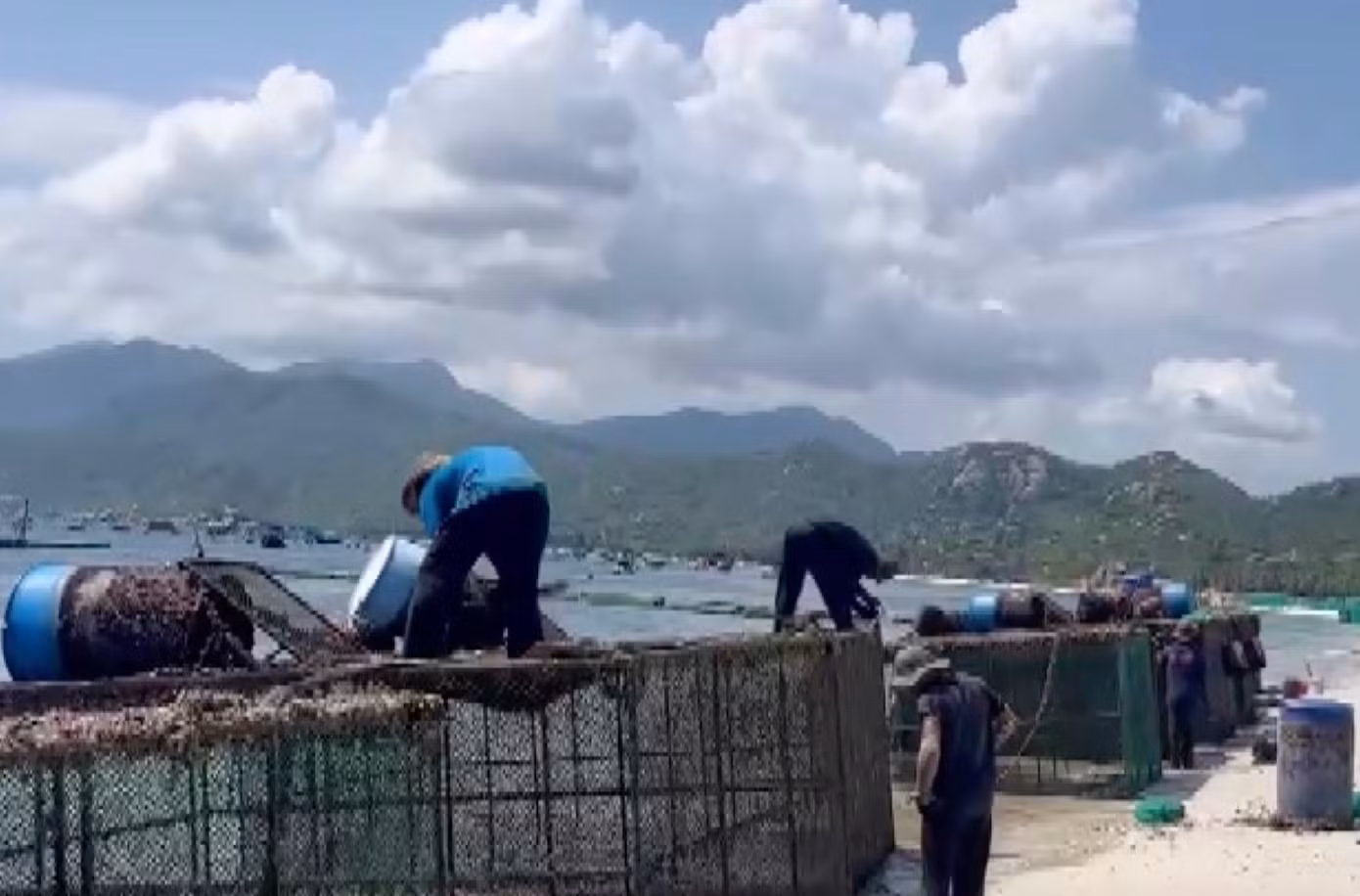 Chủ lồng bè nuôi tôm hùm cho công nhân vệ sinh xả thẳng xuống biển Bình Lập. Ảnh: N.V.N. Chủ lồng bè nuôi tôm hùm cho công nhân vệ sinh xả thẳng xuống biển Bình Lập. Ảnh: N.V.N.
