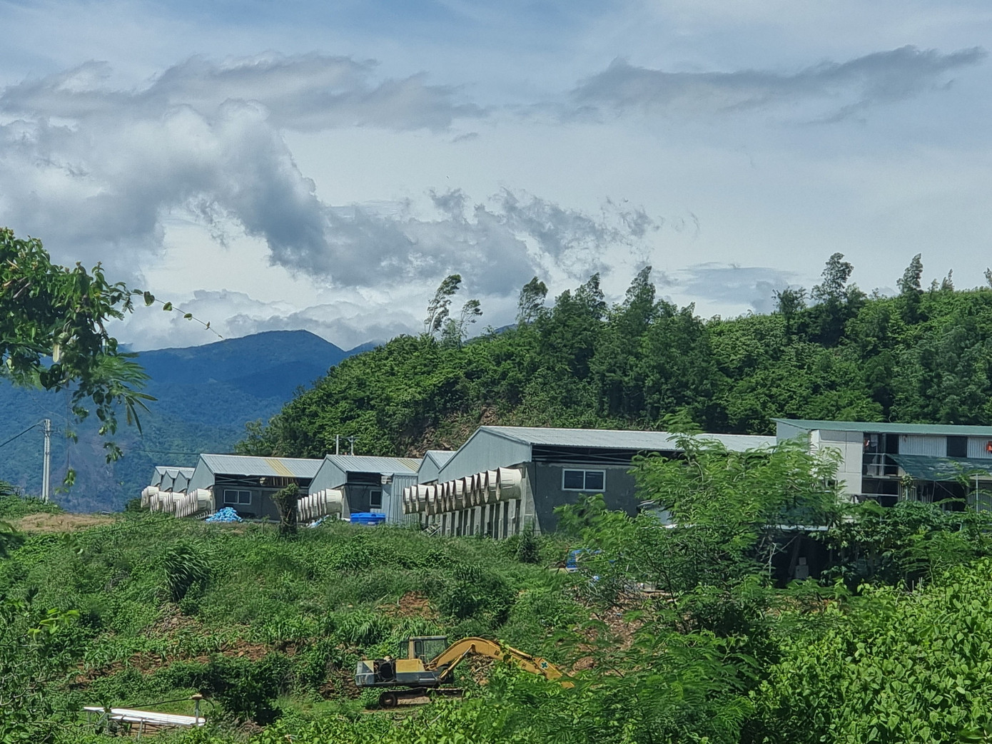 Toàn bộ chuồng trại nuôi heo của ông Lê Văn Dũng được xây dựng trái phép. Toàn bộ chuồng trại nuôi heo của ông Lê Văn Dũng được xây dựng trái phép.