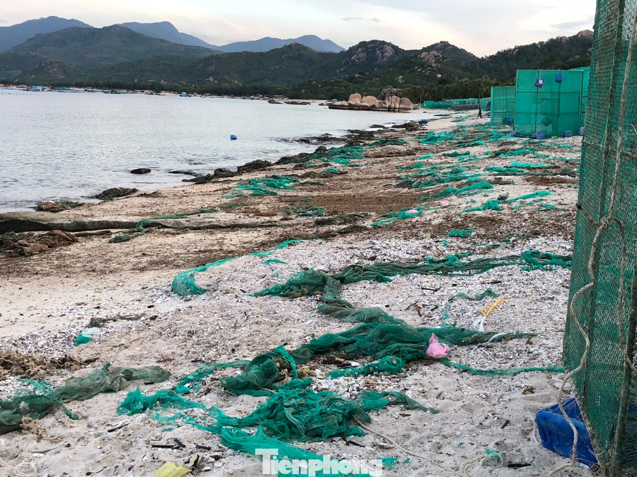 Rác thải từ lồng bè nuôi tôm hùm tràn ngập trên bãi biển Bình Lập.