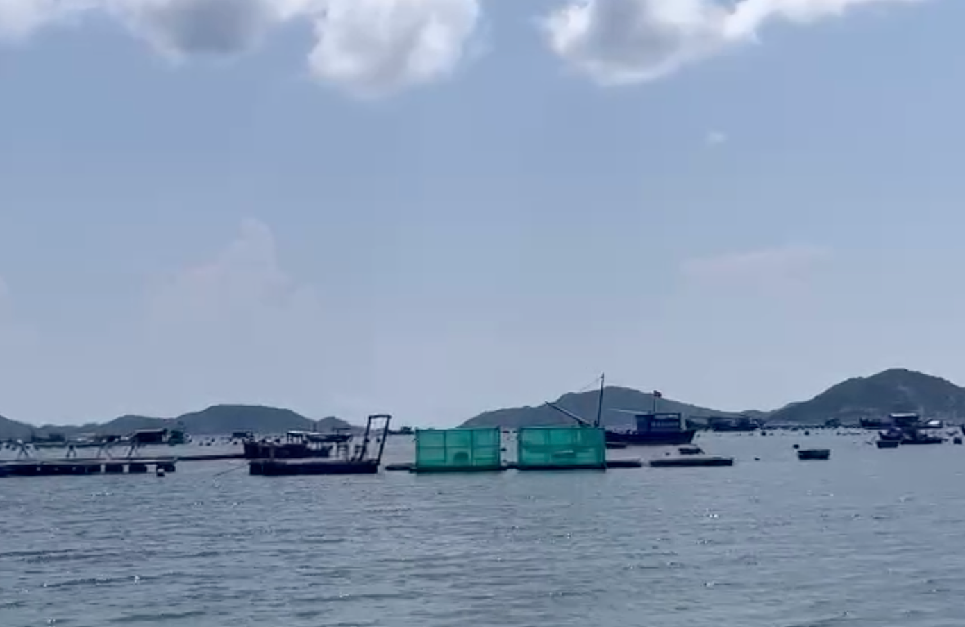 Người nuôi tôm hùm ở xã Cam Lập bị thiệt hại tiền tỷ. Ảnh: L.H.